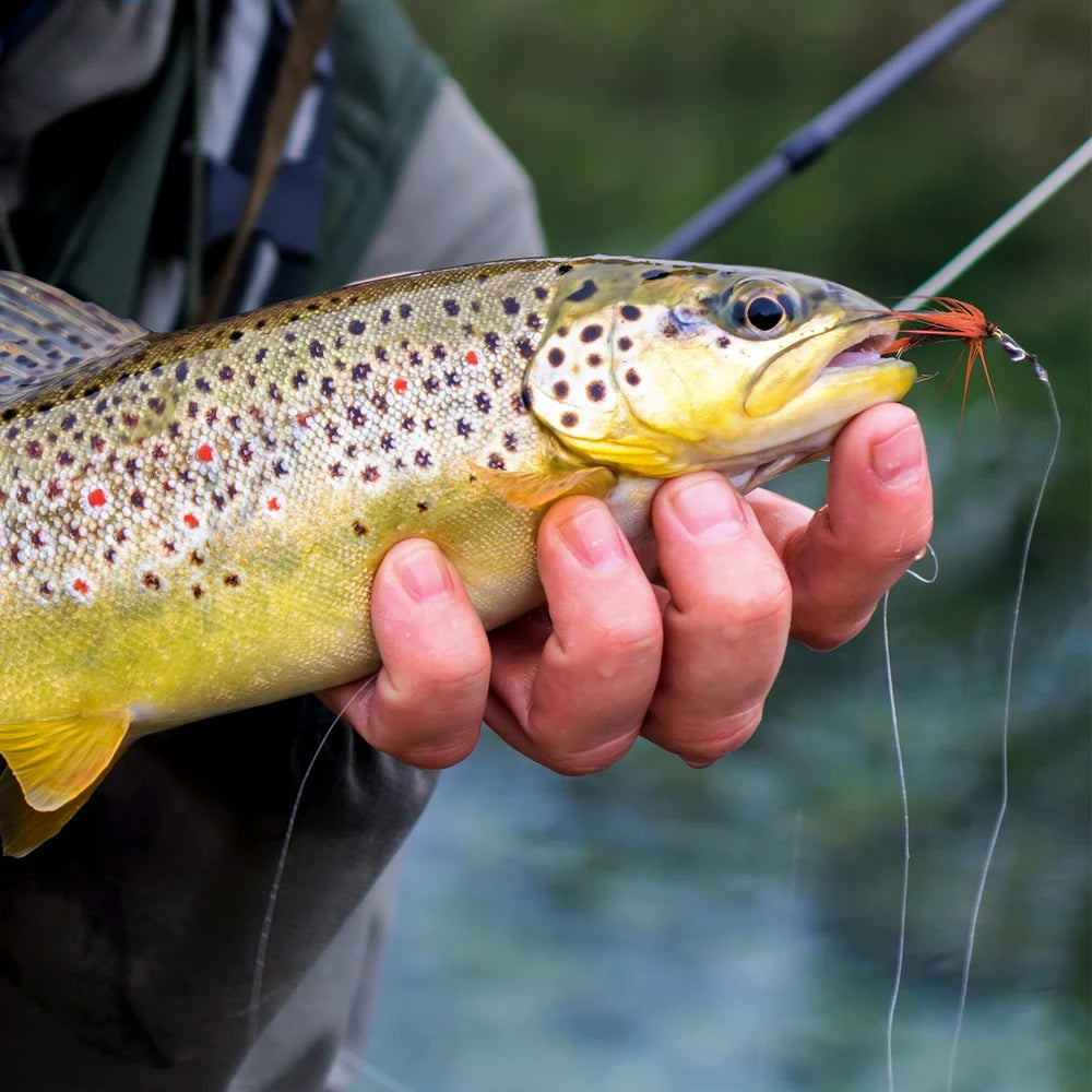 SkyRiver™ Fly Fishing Combo Kit